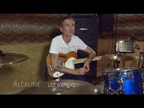 Alcaline, l'Instant avec Les Wampas
