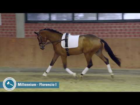 Millennium Florencio