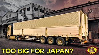 [問卦] 其實日本的道路設計也不是真正完美吧?