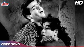 Download lagu Dil Tera Diwana Hai Sanam (Original) | Mohd Rafi & Lata Mangeshkar Duet | Shammi Kapoor, Mala Sinha mp3