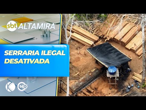 Serraria ilegal é desativada em Senador José Porfírio | SBT Altamira