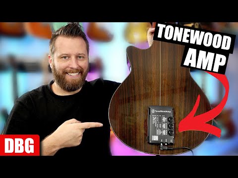 HONZ Tech ToneWood Amp for Acoustic Guitar 2010s - Black image 6
