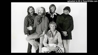 Rock n&#39; Roll Music (&quot;Hot&quot; Mix) (HQ) - The Beach Boys