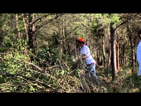 Ein Schabbatjahr für das Land