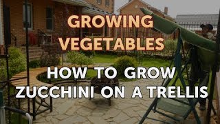 How to Grow Zucchini on a Trellis
