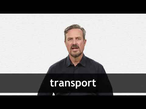 TRANSPORT definição e significado