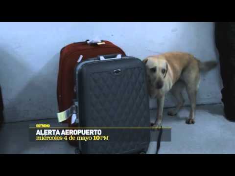 Tráiler Alerta Aeropuerto