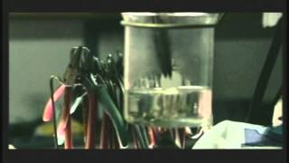 GROUP SHINHWA - &#39;Young Gunz&#39; Official Music Video