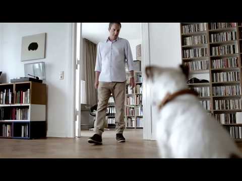 Lavish Tails presents Cloud 7 - Always Listen to Your Dog