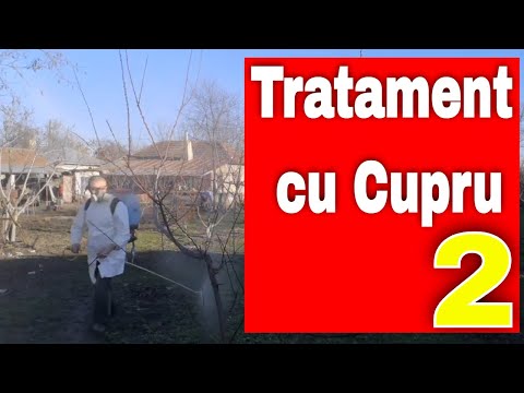 Stropirea de iarna cu Cupru - Tratamentele pomilor fructiferi