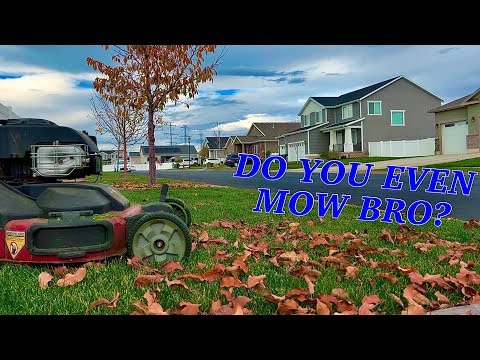 When To Stop Mowing Grass | Winter Tips