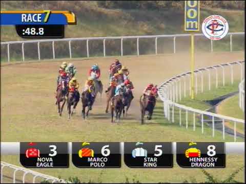 16 Mar 2019 Race 7