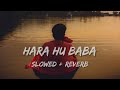 Hara hu baba [ Slowed + Reverb ] - Kanhaiya Mittal | Musify - The Depression Opinion