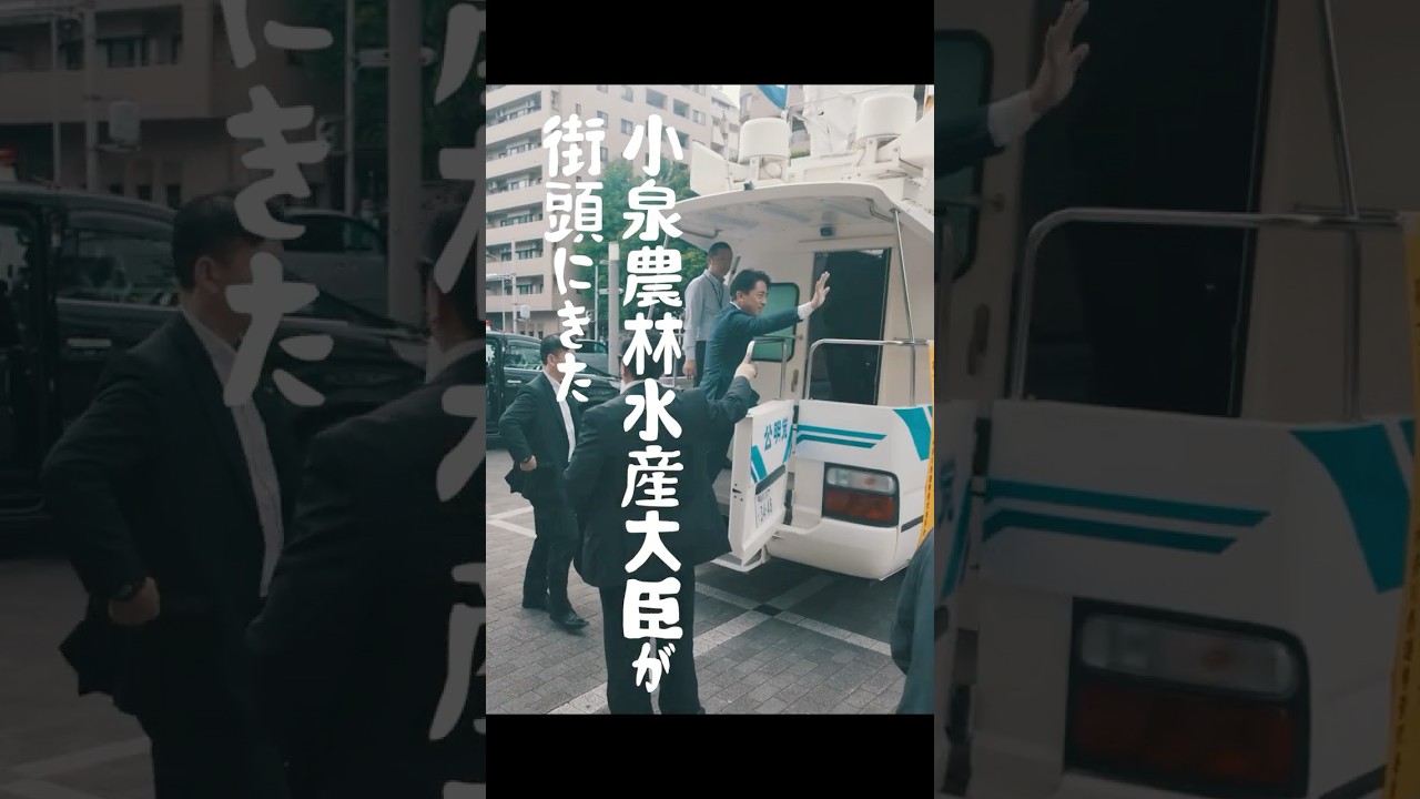 進次郎が、きた。