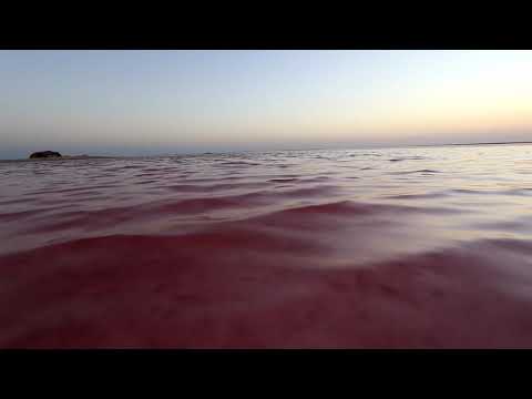 Salt farm shina March march18. The pink lakes in Sultanate of Oman.  So beautiful.  The beach man