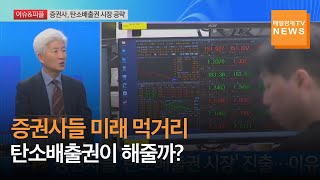 [이슈&amp;피플] 증권사들 뛰어든 탄소배출권 시장…활성화될까? 정태용 / 연세대 국제학대학원 교수