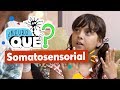 Neuroqué II Somatosensorial Canal Pakapaka