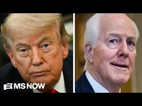 Trump will have ‘MISERABLE’ two years after midterms ‘DISASTER’: Sen. Cornyn