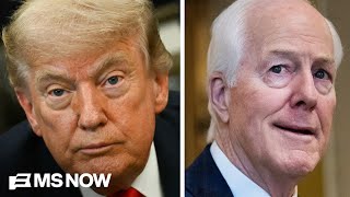 Trump will have ‘MISERABLE’ two years after midterms ‘DISASTER’: Sen. Cornyn