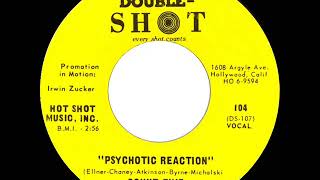 1966 HITS ARCHIVE: Psychotic Reaction - Count Five (mono 45)