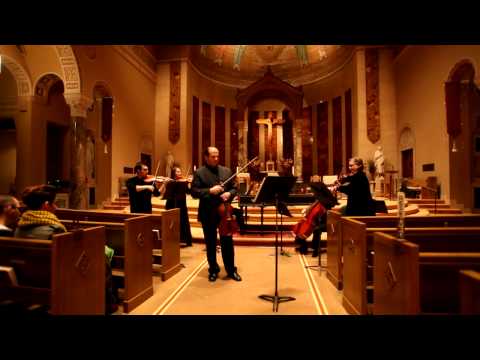 Telemann: Viola Concerto in G Major - HD
