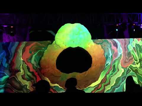 Seggae & Pandemia - Sopa de Cerebro