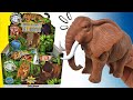 ELEFANTE ASIATICO JAGUAR PUMA DOMINADORES DE LOS BOSQUES SUPER ESTIRABLES BLANDITOS
