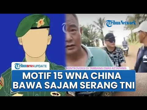 Kronologi 15 WNA Ngamuk, Bawa Senjata Tajam Serang 5 TNI di Tambang Emas, Prajurit Sempat Mundur