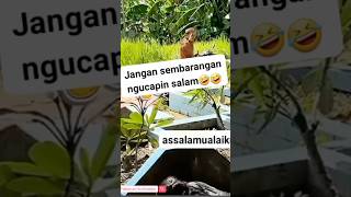 Download lagu Prank ketika kyai lewat kuburan #horror #sceror #funny #lucu #funngvideo #kuburan #menakutkan mp3 Download lagu Prank ketika kyai lewat kuburan #horror #sceror #funny #lucu #funngvideo #kuburan #menakutkan mp3