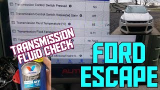 How to check and fill the transmission fluid on a 2013-2016 Ford Escape 6F35
