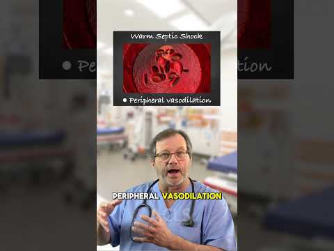 Warm vs Cold Septic Shock Part 2: Treatment & Drug Choices Explained 🚑