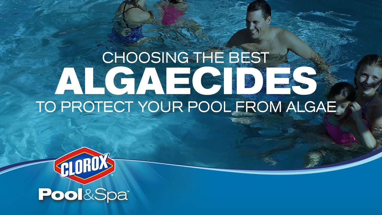 How to Protect Your Pool from Algae Blooms: Clorox Pool&Spa