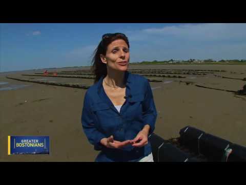 Greater Bostonian: Teaching A Man To Fish, From Duxbury to Port Au Prince