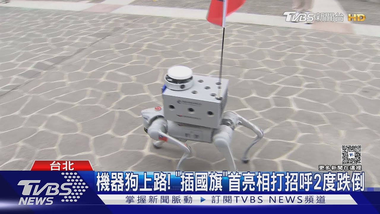 機器狗上路! 「插國旗」首亮相打招呼2度跌倒