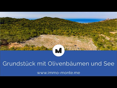 Immo Monte - Grundstück mit 700 Olivenbäumen und See/Quelle