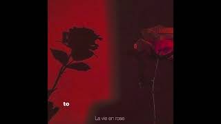 llamada de emergencia - Daddy Yankee (lyrics, inglés versión)