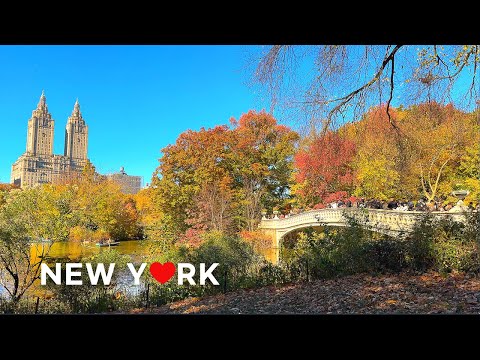 NYC autumn walk video