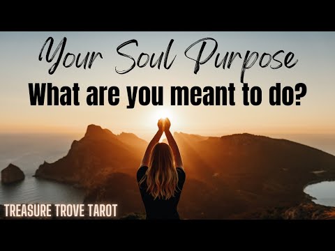 Your SOUL PURPOSE Tarot & Oracle Reading ☀️ What are you meant to do in this life? 🦋