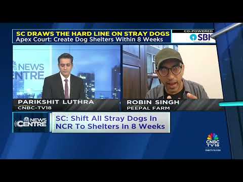 LIVE | SC Draws The Hard Line On Stray Dogs | Impounding Of Stray Dogs In Delhi-NCR | CNBC TV18