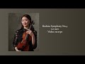 Brahms Symphony No.4 1st mov Violin excerpt