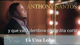 Anthony santo es una loba en letras