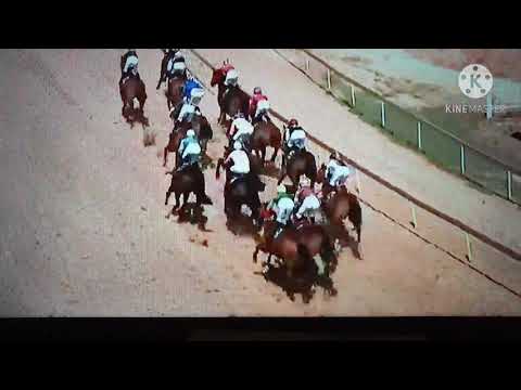 Al Qaqaa (Footy's Goal) horse wins twice