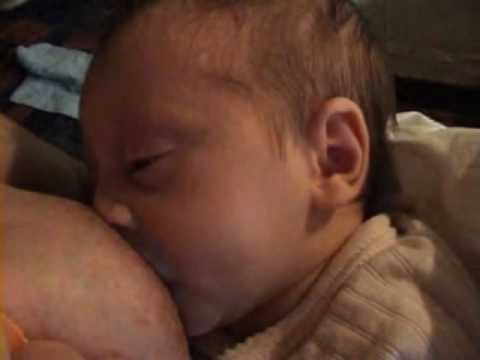 4 Sibil.la 2 to 3 weeks old.wmv