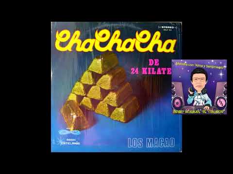 HM 🐋 Los Macao - La Blusa Azul