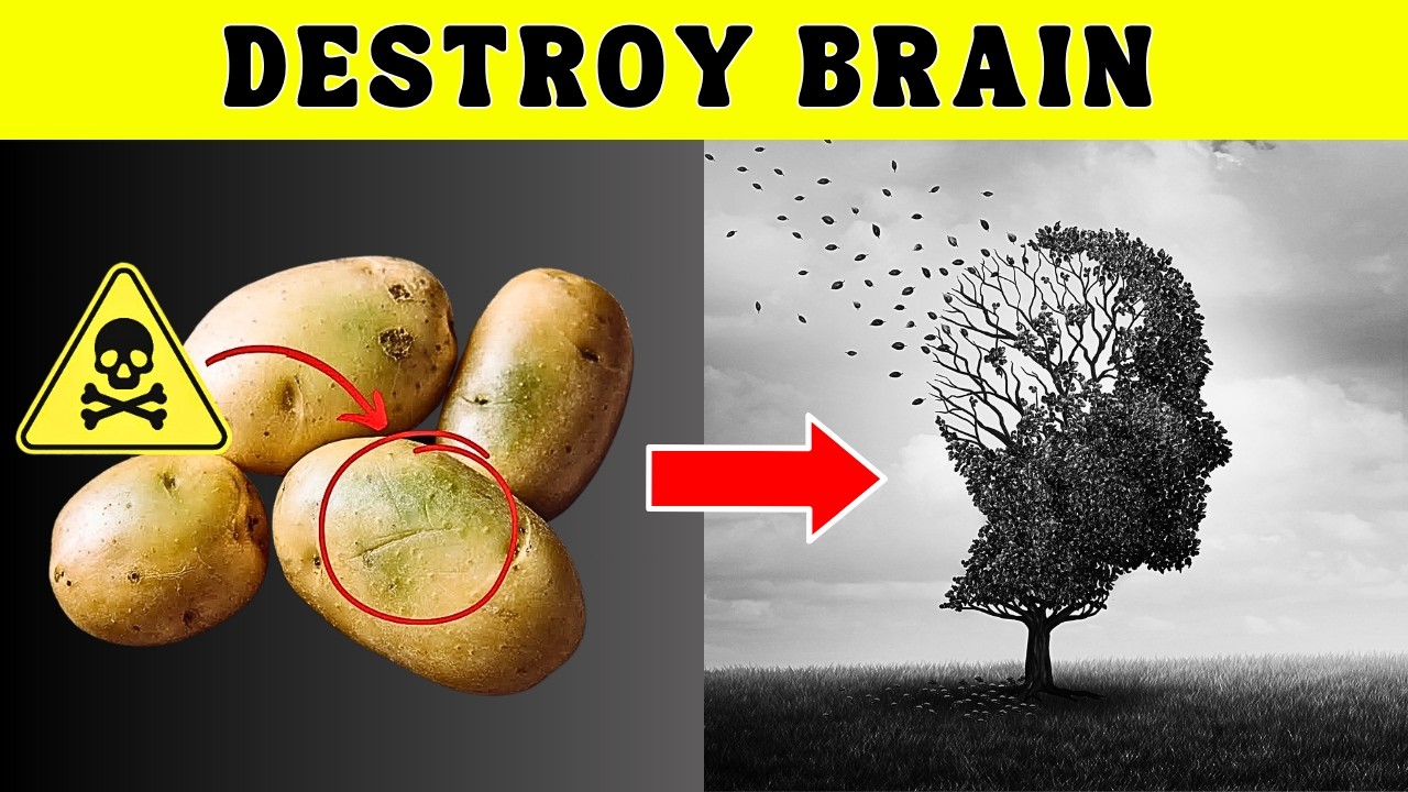 Avoid These 8 Foods to Reduce Alzheimer’s and Dementia Risk Post-50 | Ultimate Guide