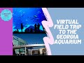 Georgia Aquarium Virtual Field Trip Free