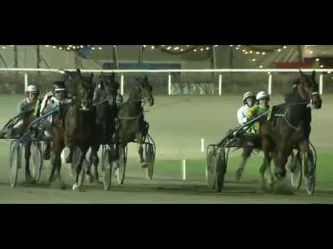 Preis von Bern 2014_Helms Klamm_Michael Voigt