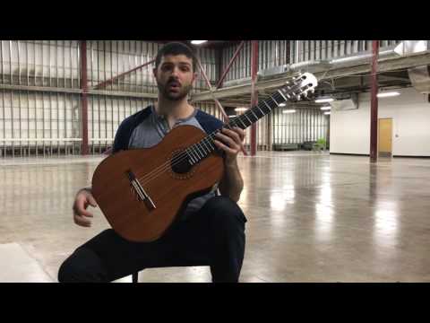 2017 Steven Walter Redwood/Brazilian Rosewood