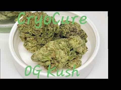 Arkansas Review #6 | OG Kush CryoCure
