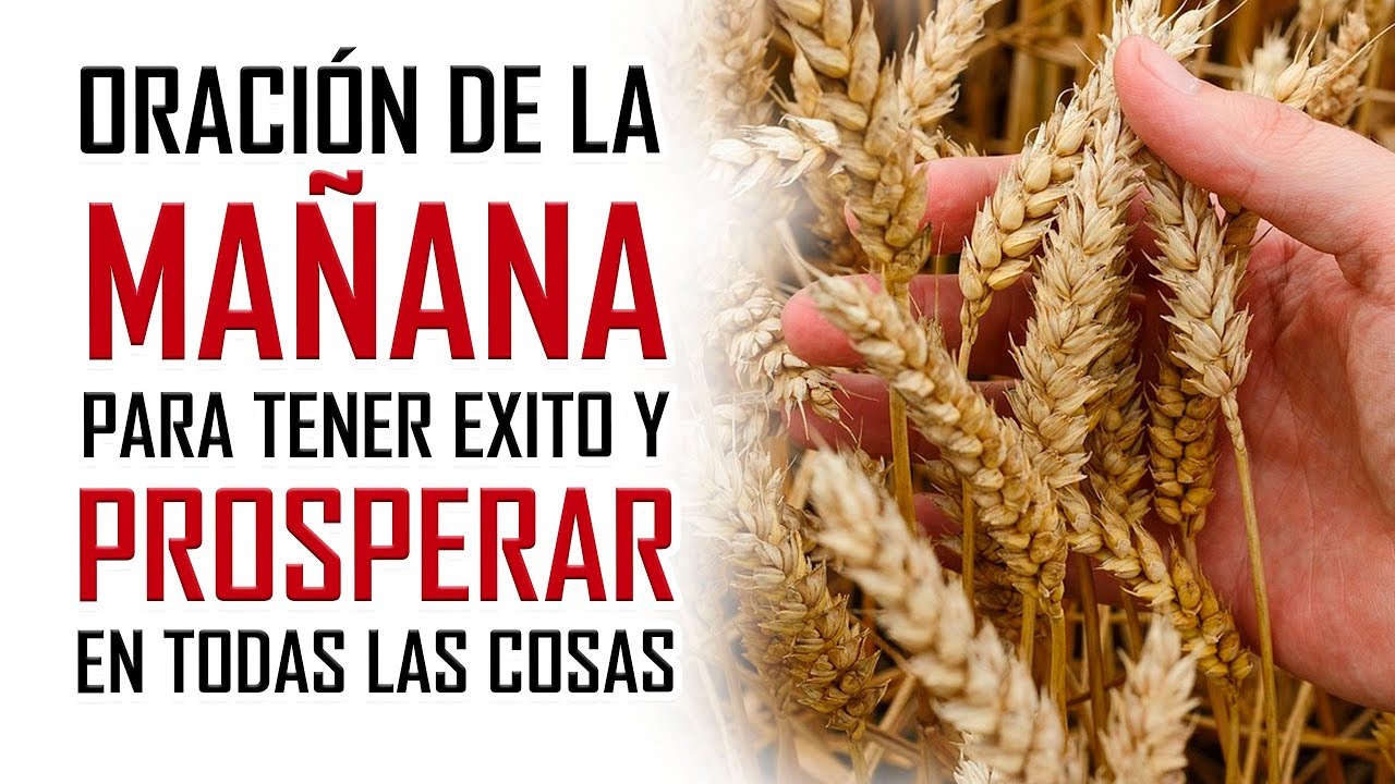 ORACION DE LA MAÑANA 🙏 PARA TENER EXITO 🤴 Y SER PROSPERO 💰 EN TODO LO QUE EMPRENDAS